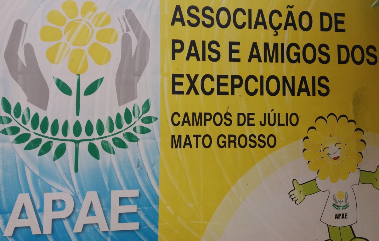 Associação de Pais e Amigos dos Excepcionais de Campos de Júlio - MT ...