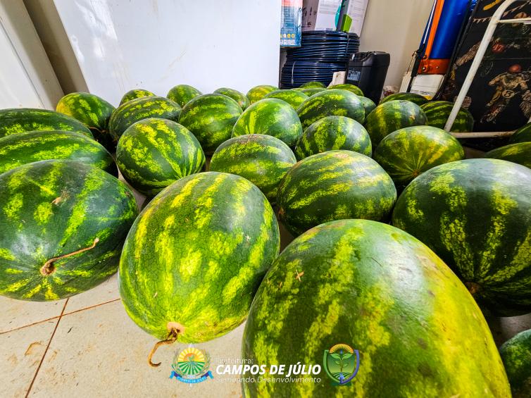 Imagem principal da Notícia