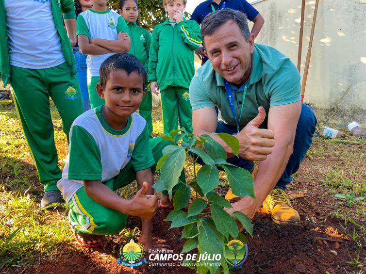 Imagem principal da Notícia