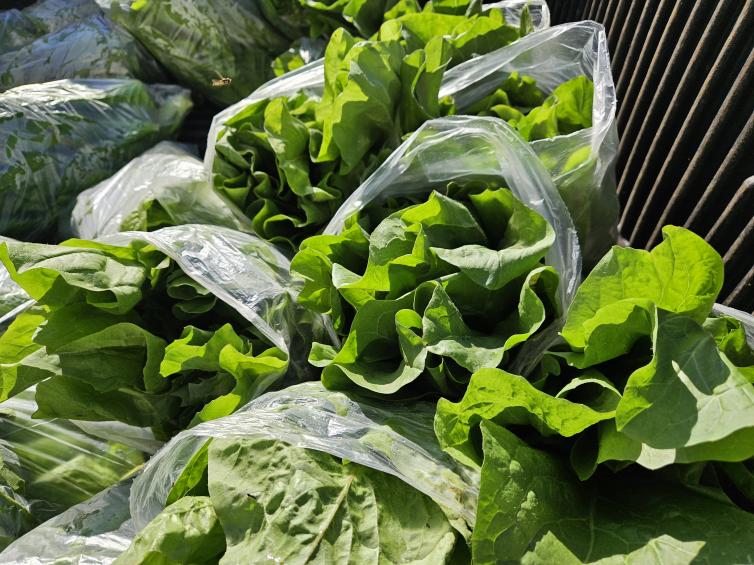 Imagem principal da Notícia