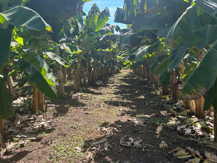 Imagem principal da Notícia