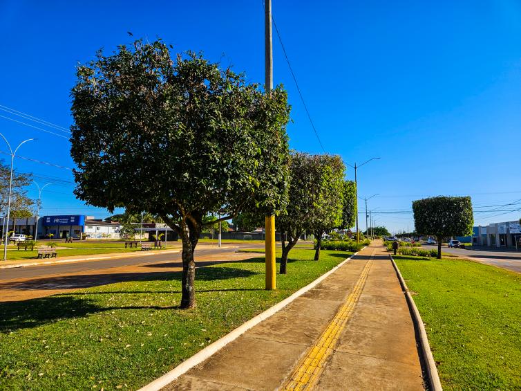Imagem principal da Notícia