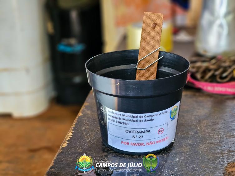 Imagem principal da Notícia