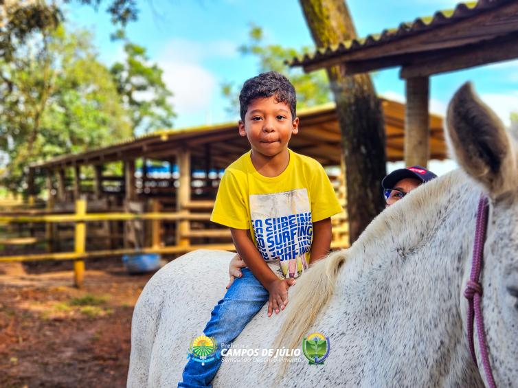 Imagem principal da Notícia